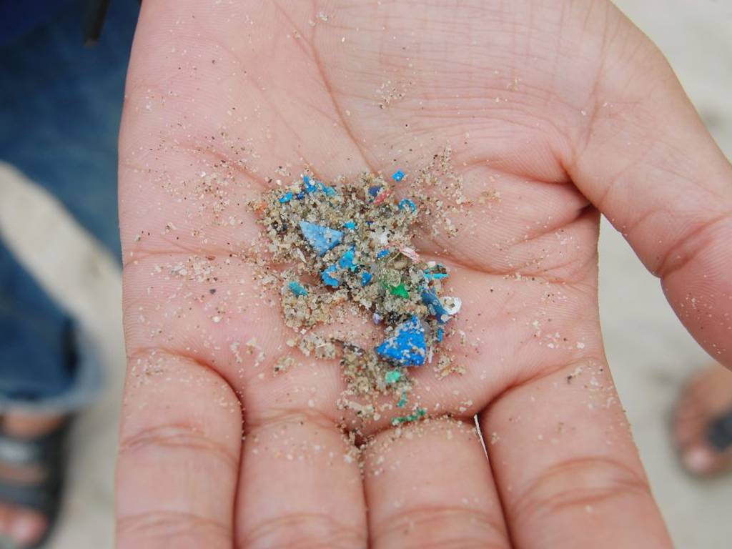 Australia prohíbe los plásticos biodegradables (también contaminan)