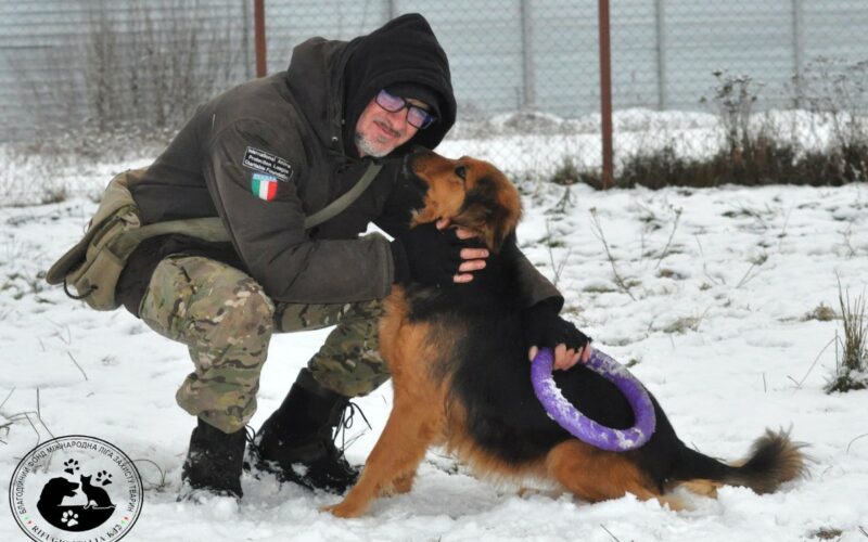 Andrea Cisternino: El Italiano Que Se Niega A Abandonar Su Refugio De Animales En Ucrania