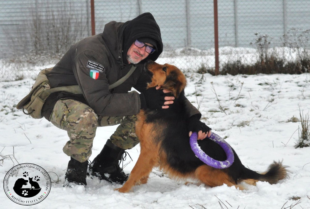 Andrea Cisternino: El Italiano Que Se Niega A Abandonar Su Refugio De Animales En Ucrania