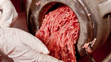Burger King Acepta Haber Utilizado Carne De Caballo En Sus Hamburguesas