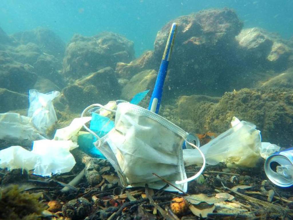Más cubrebocas en el mar que medusas (las consecuencias ambientales de la pandemia)