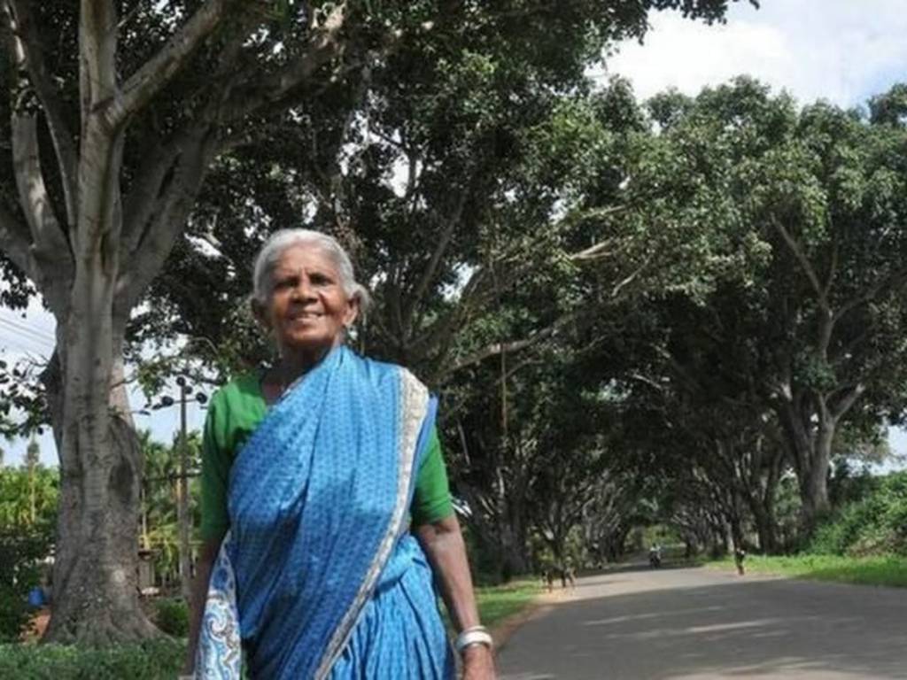 La historia de la “Madre de los bosques”: en lugar de tener hijos, plantó miles de árboles