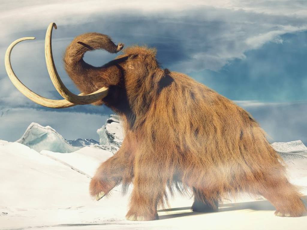 Resurgir animal: recuperan el ADN de mamut más antiguo del mundo