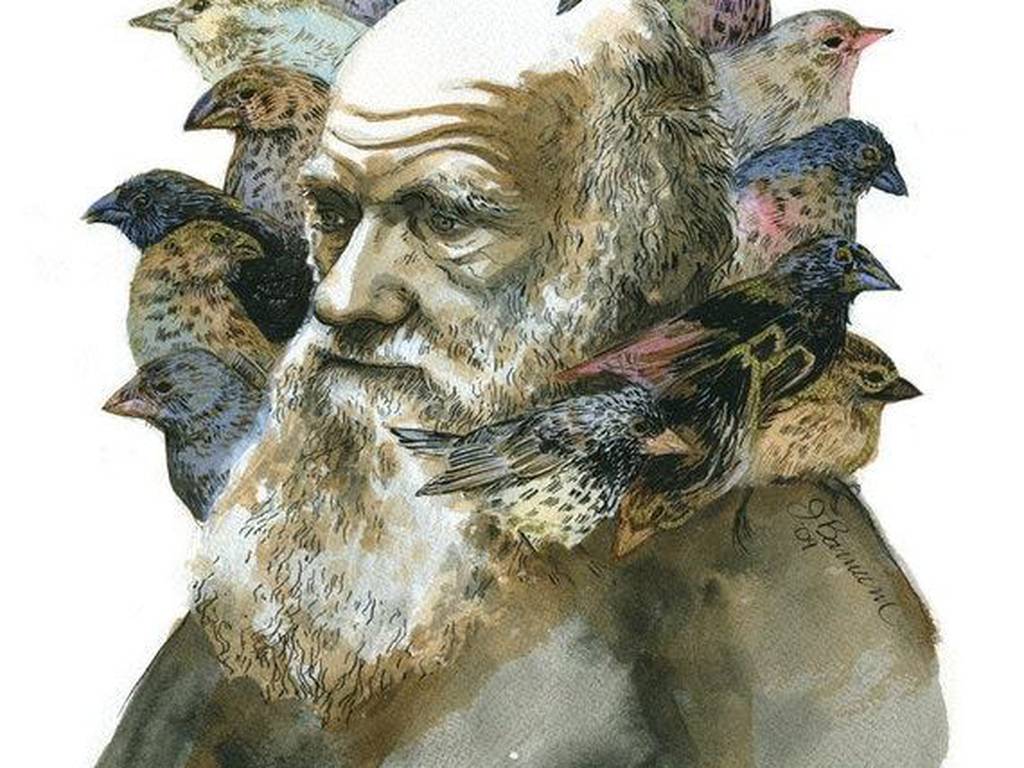 3 claves para entender el Origen de las Especies, según Charles Darwin