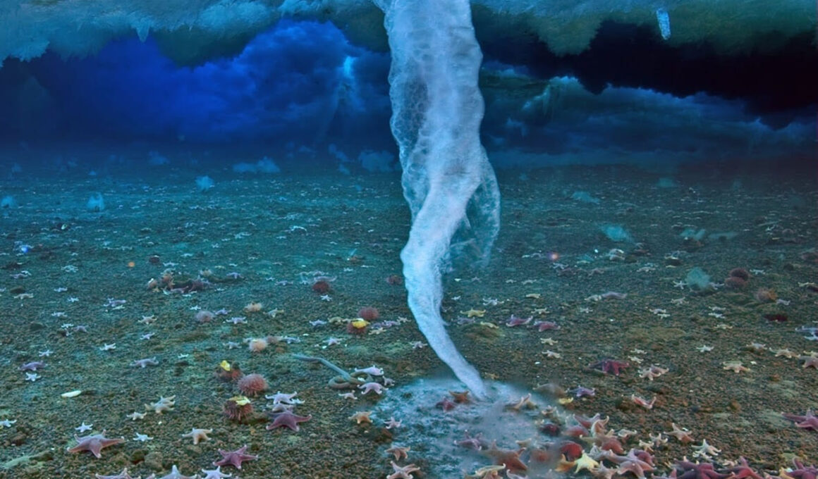 dedo de la muerte brinicle