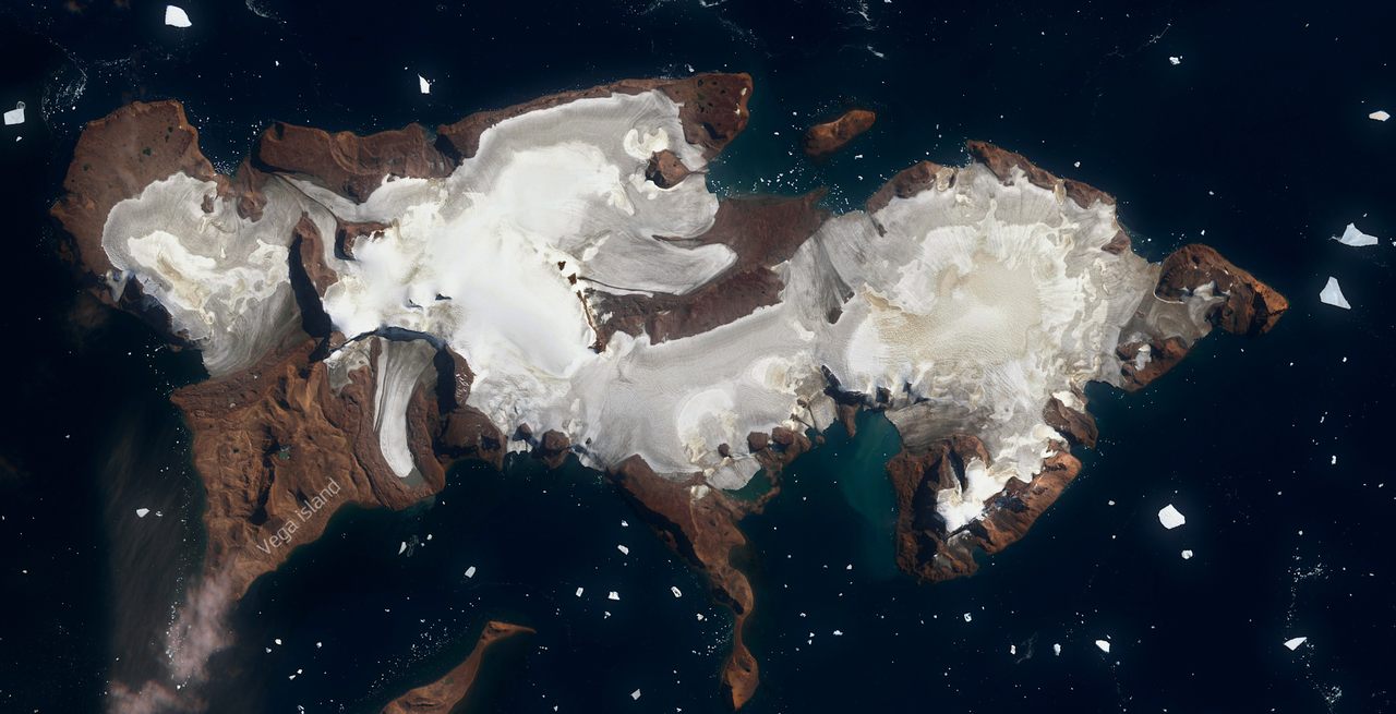 calavera Antártida