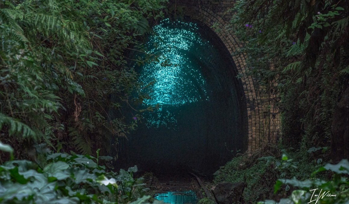 tunel de las luciernagas